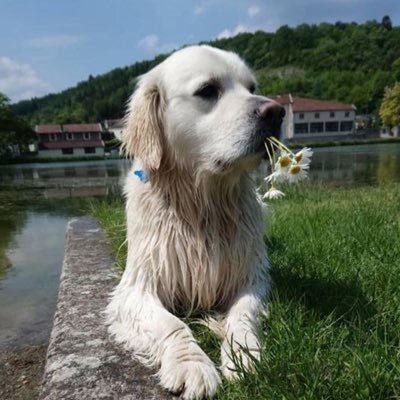 MarcPassot's profile picture. 