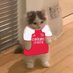 🍉 (@salibriel__) Twitter profile photo 🍉 (@salibriel__) Twitter profile photo