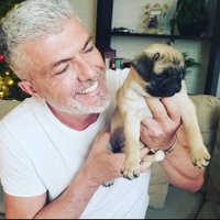 Williams Arms (@armswillia97132) 's Twitter Profile