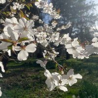 Emma (@emmay_ot) 's Twitter Profile Photo Emma (@emmay_ot) 's Twitter Profile Photo