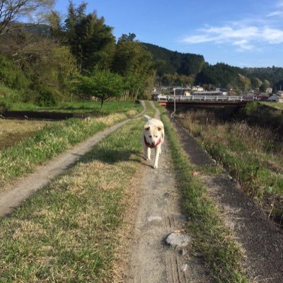 山梨静岡名古屋、横浜←いまここ。