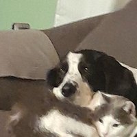 Jackie Goodrich (@jbggma) 's Twitter Profile