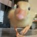puppy (goon-free day 77/109) (@pretestpupiest) Twitter profile photo puppy (goon-free day 77/109) (@pretestpupiest) Twitter profile photo