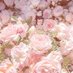 Kat (@kwtty__) Twitter profile photo Kat (@kwtty__) Twitter profile photo