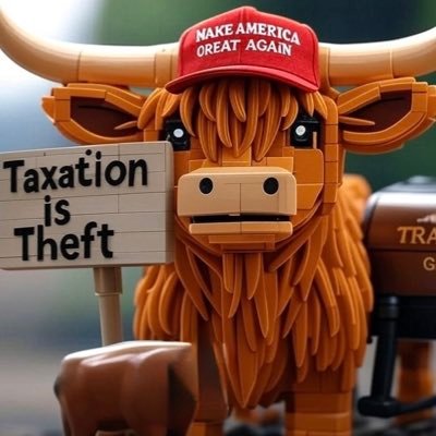 BrisketBreath's profile picture. Meat smoking, anti-communist. Government is legalized corruption. Taxation is theft. Full bio would probably trigger you.