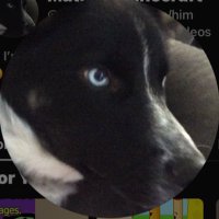 Mathew (@reinamathew_1) 's Twitter Profile