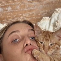 sierra (@sierraslibrary) 's Twitter Profile