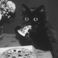 𓆙 (@ill48_) Twitter profile photo