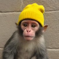 N8R (@natertainment05) 's Twitter Profile