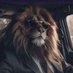 Leonardo Islas (@lionardois22555) Twitter profile photo