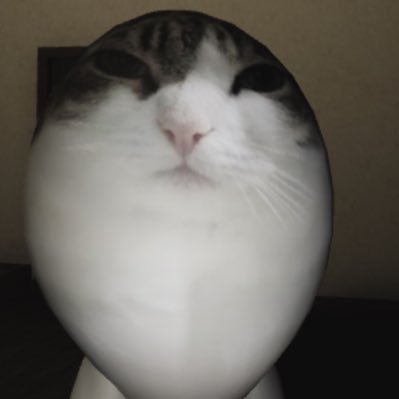 pat_catcupcake's profile picture. 