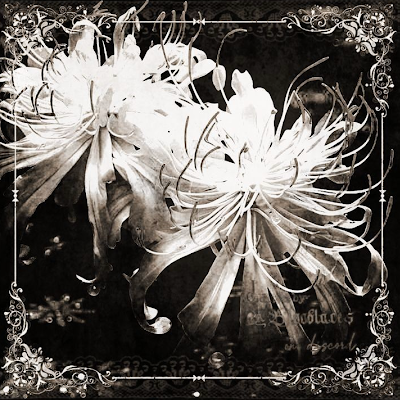 AngelXstasy's profile picture. Here to watch the lunatics and sing praises for my beloved. DNI people with ugly thoughts https://t.co/w1By9HspGx