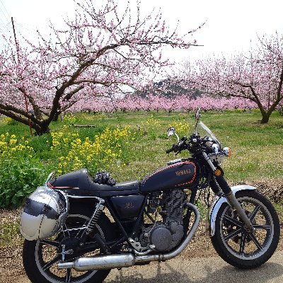 end2122's profile picture. 1980年製SR500SPを新車購入でずっと乗り続けてます。
ほかに家族のFTR223、w650も維持ってます。
チャリンコもオン・オフ数台  おぶじぇ にしてます。　
