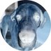 jude alt (@jude__alt) Twitter profile photo jude alt (@jude__alt) Twitter profile photo