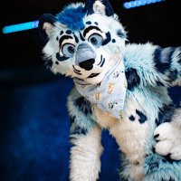 🎷🎶WinterKitty24🎷🎶🔜 FWA (@winterkitty24) 's Twitter Profile Photo 🎷🎶WinterKitty24🎷🎶🔜 FWA (@winterkitty24) 's Twitter Profile Photo
