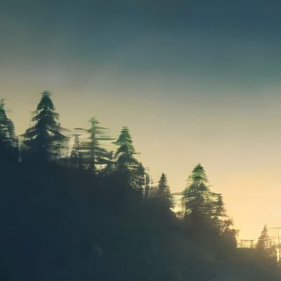 User_Elkin's profile picture. 