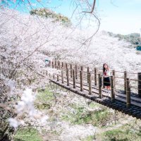 とどわら (@todowara_aidori) 's Twitter Profile Photo とどわら (@todowara_aidori) 's Twitter Profile Photo