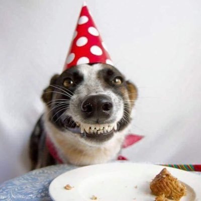 dogberry999's profile picture. AMERICA FIRST . Staunch patriot , pro 2A