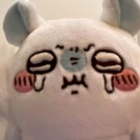 momonga daily ᶻ 𝗓 𐰁 .ᐟ (@dailymomonga) 's Twitter Profile