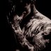 👑ZeroDaddyDom👑 $0/500 (@zerodaddyx) Twitter profile photo 👑ZeroDaddyDom👑 $0/500 (@zerodaddyx) Twitter profile photo