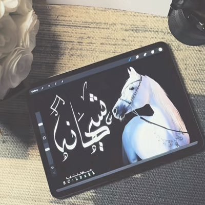 أنا حيث الاقليه.لن تجدني في الضجيج🌷