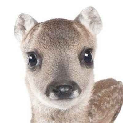 lilaccmie's profile picture. 'we all look for heaven and we put love first'