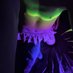 Riven 🌸 (@riven_femboy) Twitter profile photo Riven 🌸 (@riven_femboy) Twitter profile photo