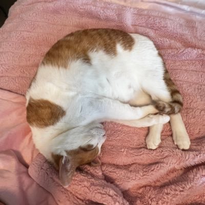, Profile