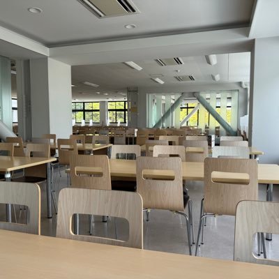 ふつうの会社員→フリーランスのライター→広告｜さとゆみゼミ4期｜将棋アマ2段