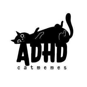 adhdcatmemes's profile picture. Daily ADHD cat memes 😼 If I remember to post, you'll love it
