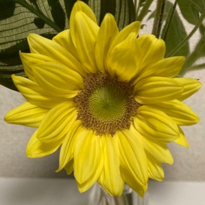 ⭐️ももた⭐️⭐️さんのプロフィール画像