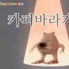 gwonseongh16800's profile picture. 