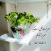 ناصر افغان (@nrfgn375250) Twitter profile photo ناصر افغان (@nrfgn375250) Twitter profile photo