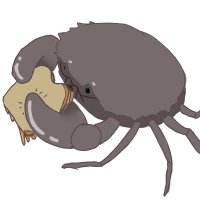 hp_mudcrab (@hpmudcrab) 's Twitter Profile