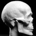We Are Not The Same (@eurogeneticist) Twitter profile photo We Are Not The Same (@eurogeneticist) Twitter profile photo