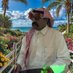 مسسسسافر عبر الزمن🇸🇦🇸🇦 (@assa34352) Twitter profile photo مسسسسافر عبر الزمن🇸🇦🇸🇦 (@assa34352) Twitter profile photo