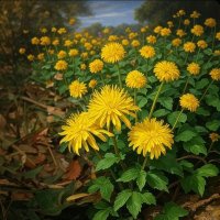 RAY IN PLENTY (@ray_plenty) 's Twitter Profile