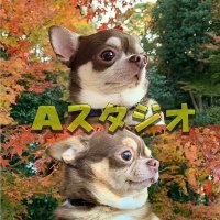 Aスタジオ A studio (@astudio2021) 's Twitter Profile