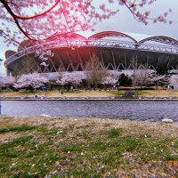 隼人 (@haya_albirex) 's Twitter Profile