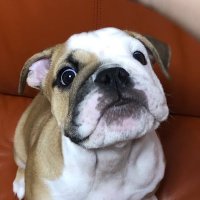 ちゃな (@vyf1q1hzwn47135) Twitter profile photo