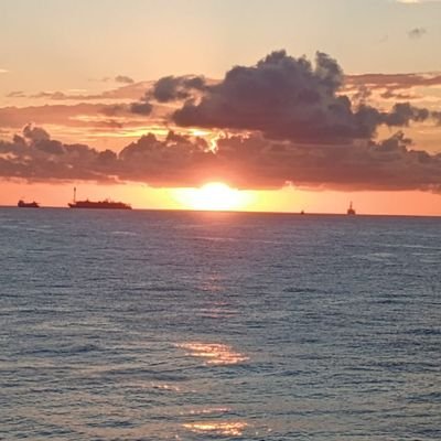 Souza15730056's profile picture. 