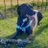 _1_m4u11id0sd0g's profile image