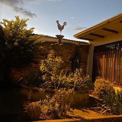 MarceloBol40584's profile picture. 