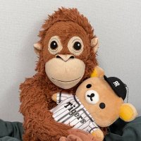 ์บ์คํผ (@archiveofcaspar) 's Twitter Profile Photo ์บ์คํผ (@archiveofcaspar) 's Twitter Profile Photo