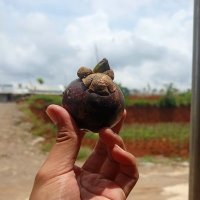 Djeruk888Orange's profile picture. You know MyName but not my Story 🌟
We can't make all people happy,
To Be RICH to Help More People 💪
#Crypto is Future #BASE
Proudly powered by #Solana