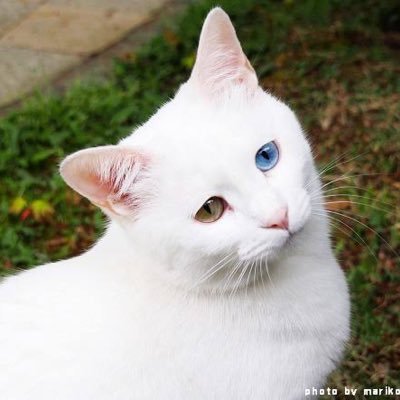 rng0104's profile picture. 