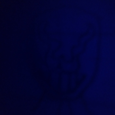 chickin_nugs's profile picture. 