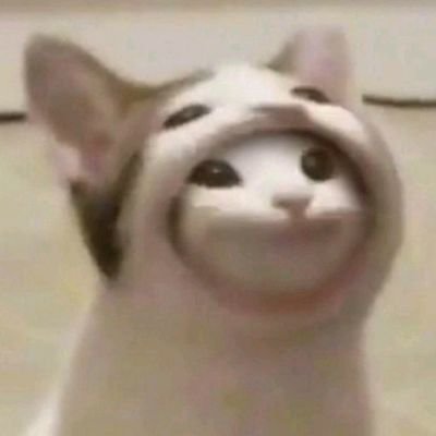 햄땃쥐さんのプロフィール画像