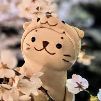 しゃお (@shaolon_wang) 's Twitter Profile Photo しゃお (@shaolon_wang) 's Twitter Profile Photo