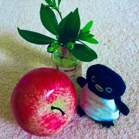 ペンギン🐧🐇🐼🐱 (@chenruyun387361) 's Twitter Profile Photo ペンギン🐧🐇🐼🐱 (@chenruyun387361) 's Twitter Profile Photo